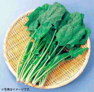 ほうれん草 1袋