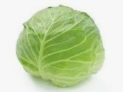 春キャベツ 1玉