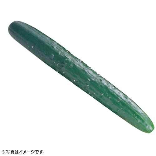 胡瓜 1本