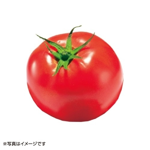 トマト 1玉