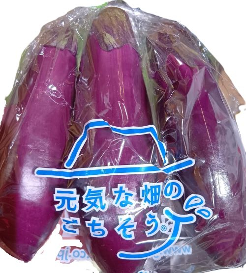 黒なすび 2～3本入