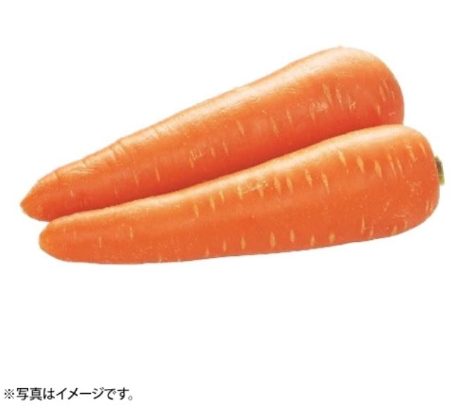 洋人参 1袋