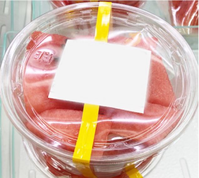 スイカブロック（一口カット）【季節限定】 1パック