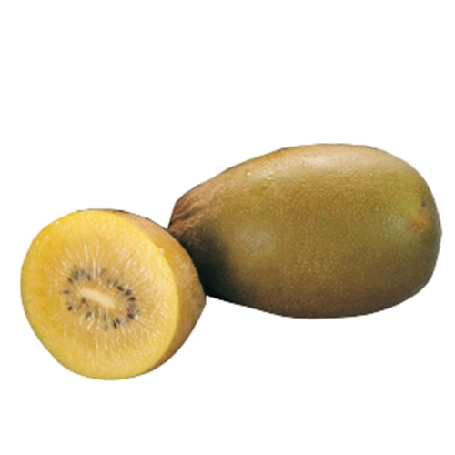 外国産　キウイ（ゴールド） 1玉