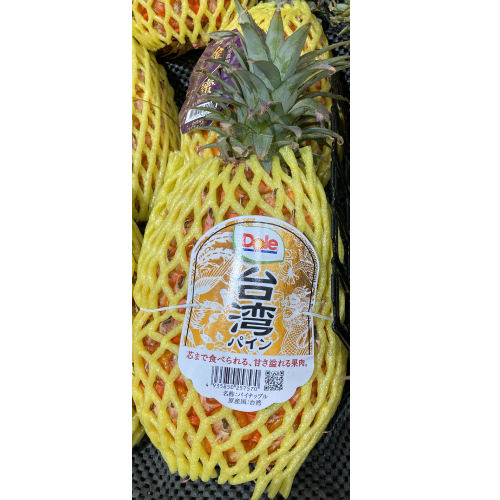台湾産　台湾パイン 1玉
